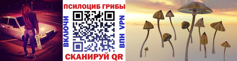 Купить где  Якутск  Галлюциногенные грибы Magic Shrooms 