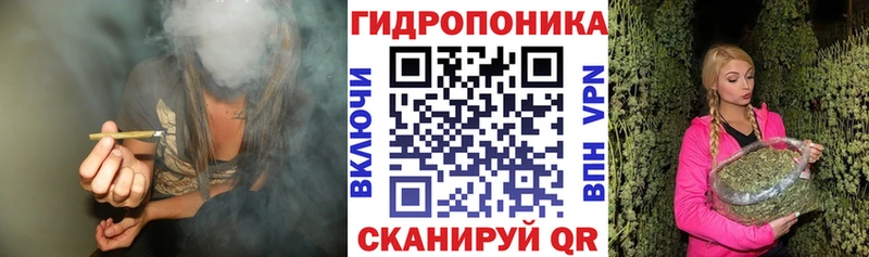 Бошки Шишки OG Kush  Купить где  Якутск 